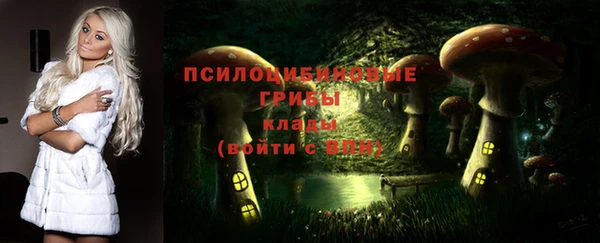 герыч Зерноград