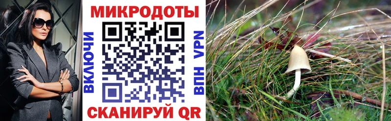 Галлюциногенные грибы мухоморы  Купить где  Калачинск 